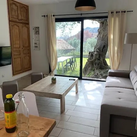 L'alivu Di Vecchio - Piscine Feriehus Porto-Vecchio (Corsica)