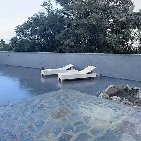 Feriehus L'alivu Di Vecchio - Piscine