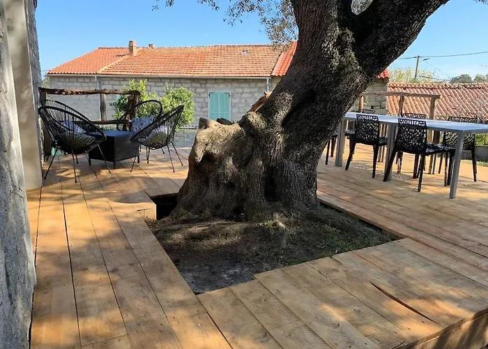 L'alivu Di Vecchio***