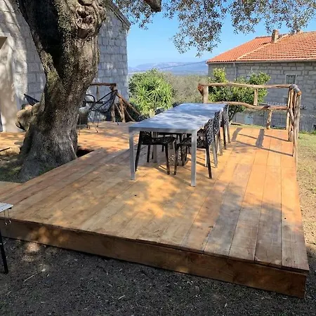 L'alivu Di Vecchio - Piscine Hébergement de vacances *